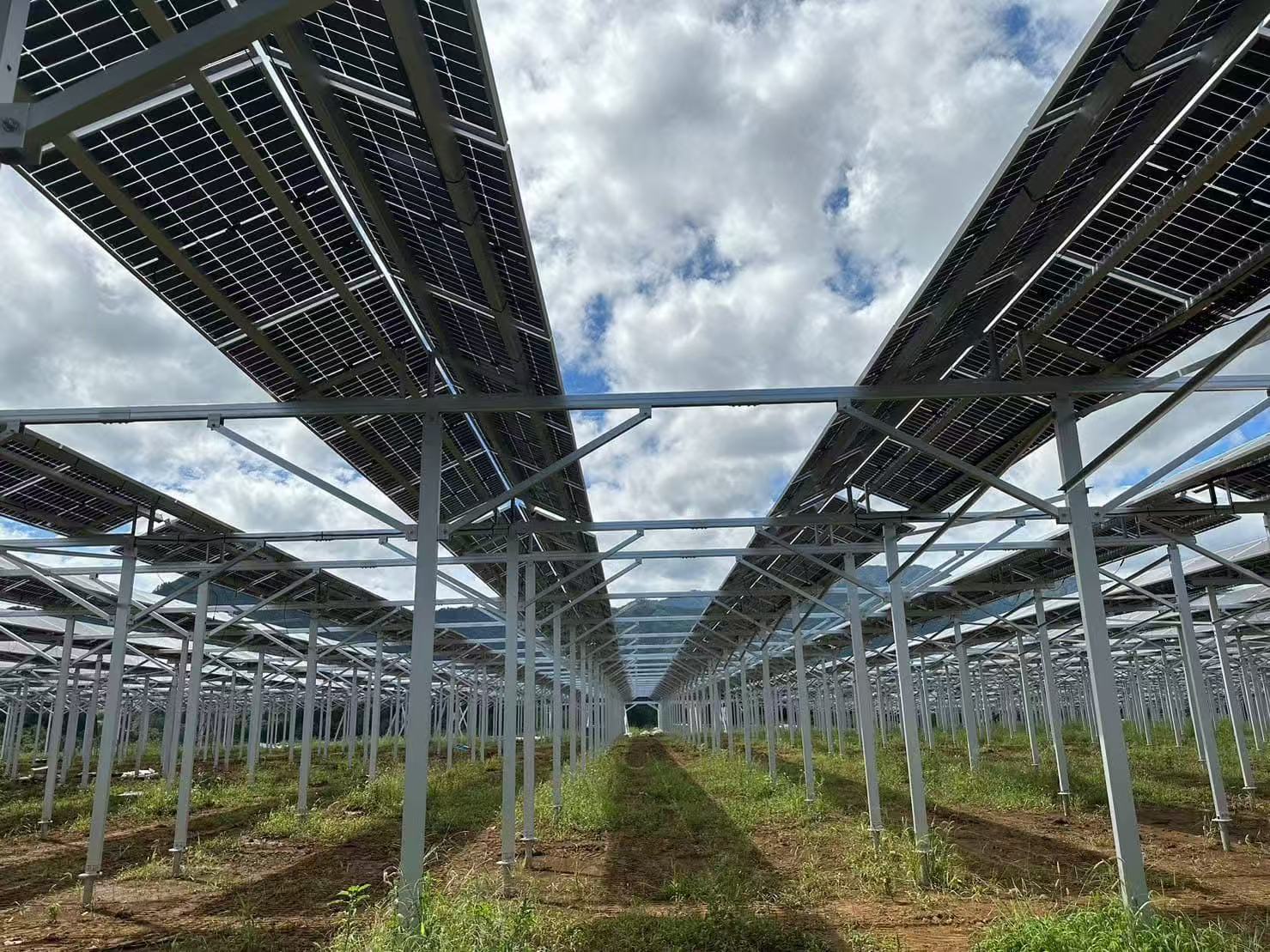 Nekazaritza estalpeen laguntzaren abantailak