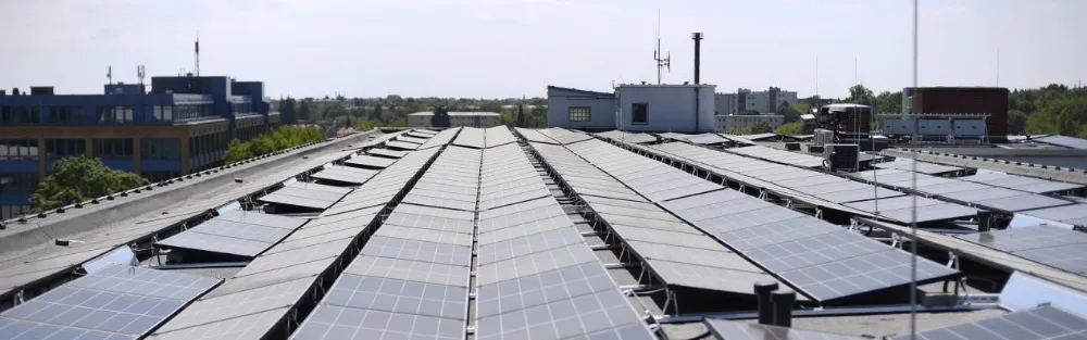 One Roof, One Right Fit - Japoniako Eguzki Merkatua zerbitzatzen duten hamar urteko ikasgaiak